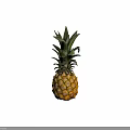 Fresh Ripe Pineapple With Green Leafy Crown And Yellow Juicy Flesh Tropical Fruit