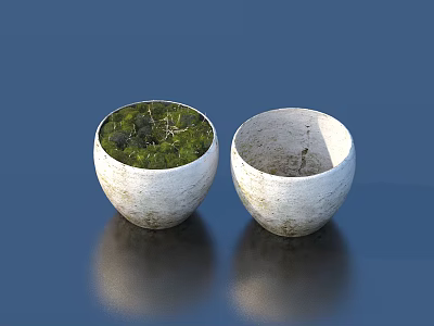 Green Plants and Moss in White Stone Textured Bowls with Empty One on Dark Blue 3d model