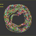 Intricate Spiral Skeletal Structure Of Biological Organ With Natural Hair Elements In Circular Coiled Design