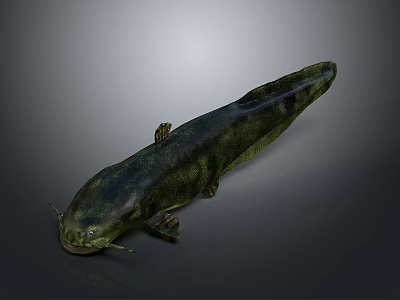 Spotted Green And Black Salamander With Long Body On Gray Background 3d model