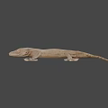 Detailed Brown Gecko Game and Movie Character 3D Model with Large Eyes on Black Background