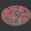 Green Grass With Yellow Fallen Leaves On Circular Landscape Surface