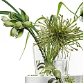 Decorative Glass Vases With Green Plants And Spherical Blooms On White Pedestal