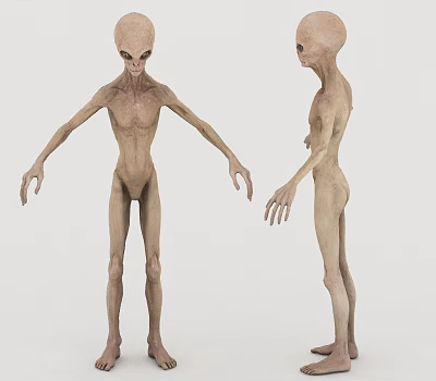 Alien UFO 3d model