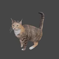 Brown And White Tabby Cat In Standing Pose With Gray Background
