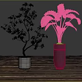 Indoor Decorative Potted Plants With Slender Branches And Broad Green Leaves On Wooden Floor