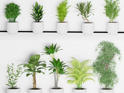Various Green Potted Plants Arranged In White Pots For Home Decor 3d model