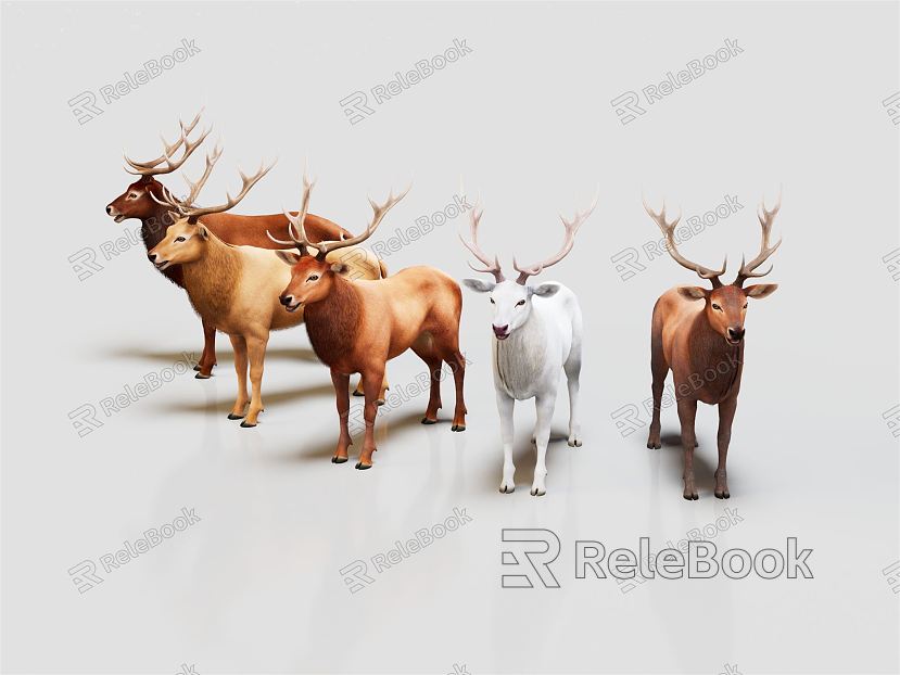 Modern Elk Cartoon Elk model