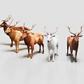 Group of Different Colored Deer With Antlers Standing on White Background