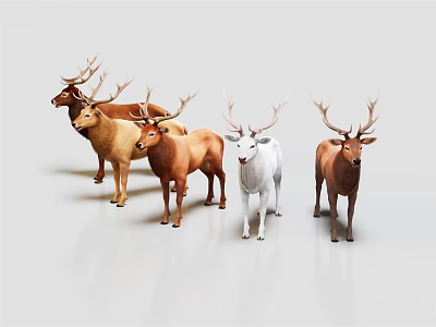 Group of Different Colored Deer With Antlers Standing on White Background 3d model Group of Different Colored Deer With Antlers Standing on White Background 3d model