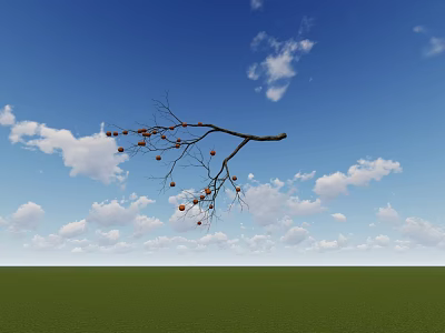Single Tree Branch Bearing Red Fruits Under Blue Sky With White Clouds And Green Grassland 3d model