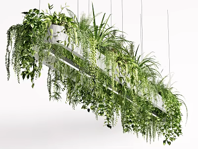 Hanging Green Plant Arrangement With Trailing Leaves And White Planters 3d model