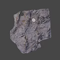 Muddy Ground Surface With Wet Soil Puddles And Scattered Stones Texture 3d model
