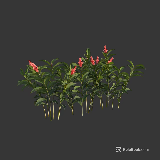 Lush Green Leafy Plants With Bright Red Flowers Clustered Together Neatly 3d model 