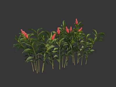 Lush Green Leafy Plants With Bright Red Flowers Clustered Together Neatly 3d model