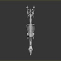 Modern Skeleton Metal Dinosaur Skeleton Alloy Skeleton Animal Skeleton Animal Skeleton 3d model