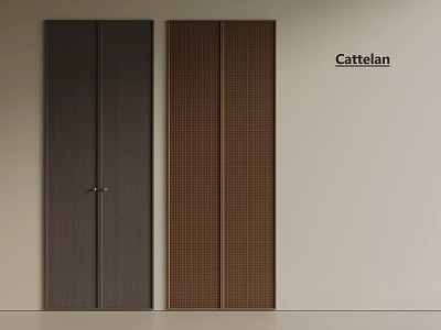 Cattelan Modern Wardrobes With Dark Wood Grain And Brown Grid Pattern On Light Wall Background 3d model