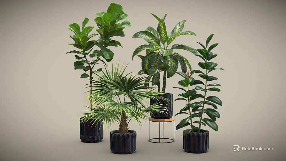 Various Types of Indoor Potted Plants with Green Leaves in Black Pots and Stands 3d model 