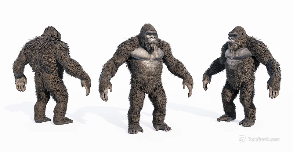 Realistic Reptile 3D Model Shown In Three Different Standing Poses With Detailed Skin Texture 3d model 