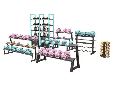 Modern Dumbbell Dumbbell Fitness Equipment Combination Dumbbell Combination Sporting Goods 3d model