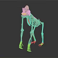 Medical Device Realistic Skeleton Model For Anatomical Study And Veterinary Training 3d model