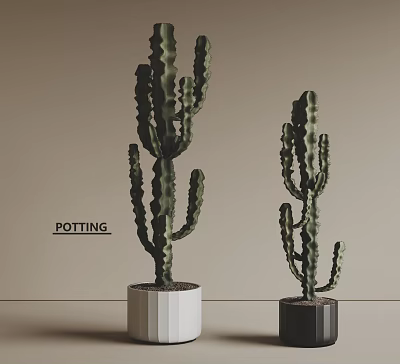 Stylish Cactus Potted Plants With White And Black Pots Indoor Decor 3d model