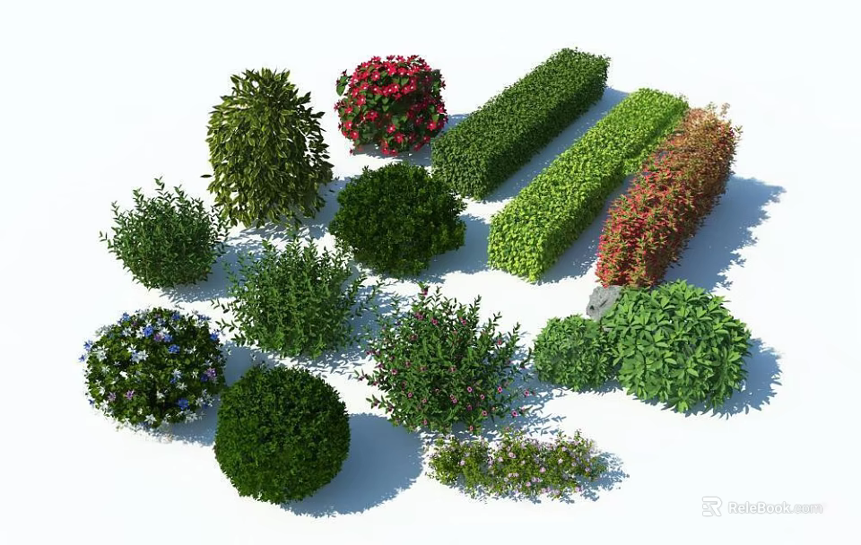 Diverse Garden Shrubs in Various Shapes and Flowering Colors for Landscaping 3d model 