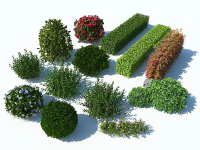 Diverse Garden Shrubs in Various Shapes and Flowering Colors for Landscaping 3d model