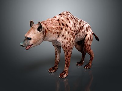 wild boar model