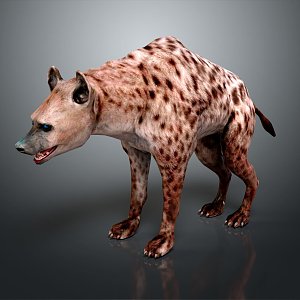 wild boar 3d model