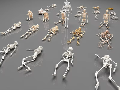 Multiple Skeleton Models In Various Poses With White And Gold Colors On Gray Background 3d model