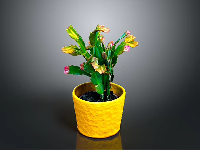 Potted Green Cactus Plant with Pink and Yellow Tips in Yellow Textured Pot 3d model
