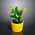 Potted Green Cactus Plant with Pink and Yellow Tips in Yellow Textured Pot