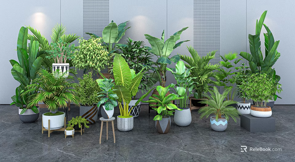 Indoor Home Potted Plants Collection With Various Green Leafy Species And Stylish Decorative Pots 3d model 