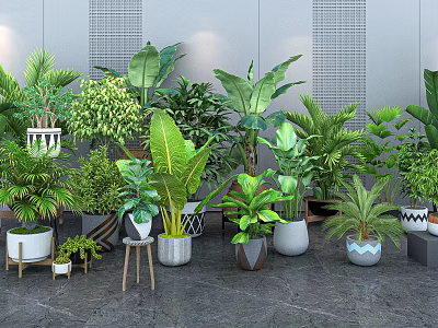 Indoor Home Potted Plants Collection With Various Green Leafy Species And Stylish Decorative Pots 3d model