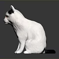White and Black Cat Sitting on Smooth Surface With Reflection in Studio Lighting 3d model