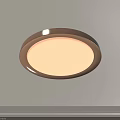 Round Design Flush Mount Ceiling Light With Golden Frame And White Light 3d model