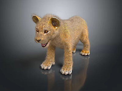 Cute Brown Lion Cub With Fluffy Fur Standing On Black Smooth Surface With Reflection 3d model