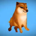 Adorable Shiba Inu Sitting On Blue Background With Friendly Expression And Calm Posture