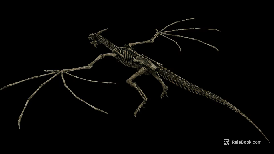 High Quality Medical Skeleton Model For Educational Training And Clinical Use 3d model 