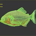 Vibrant Tropical Fish With Red Body Blue Fins And Colorful Spots On Dark Background