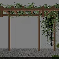 Wooden Pergola Covered With Green Vines Against White Wall Gravel Ground And Trimmed Shrubs