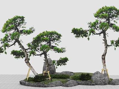Natural Tree Pit Landscape Design With Curved Trees Green Foliage Stones And Wooden Supports 3d model