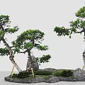 Natural Tree Pit Landscape Design With Curved Trees Green Foliage Stones And Wooden Supports
