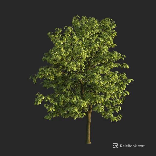 Green Leafy Arbor Tree With Strong Trunk And Lush Foliage In Natural Scene 3d model 