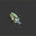 Vibrant Green Blue Golden Metallic Textured Beetle With Long Antennae And Legs