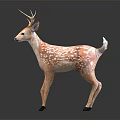 Realistic Deer Figure With Antlers And Brown White Spots On Dark Background
