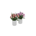 Pink And Purple Tulips In White Ribbed Vases With Green Leaves For Home Decor
