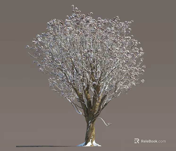 Bare Branched Arbor With White Frost Covered Crown And Natural Structure 3d model 