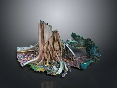 Natural Wood and Stone Artistic Sculpture with Intricate Root Details and Textures 3d model